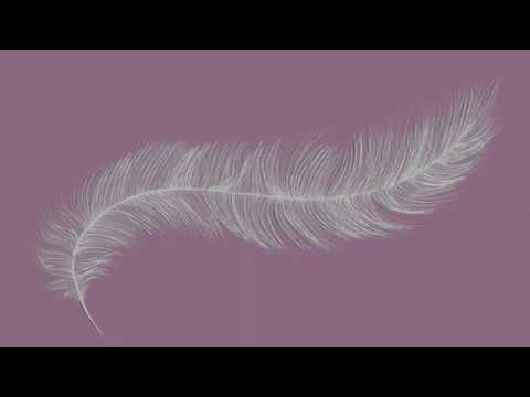 The Slow Show - Mountbatten (Official Audio)