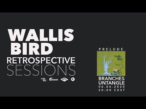 WALLIS BIRD - RETROSPECTIVE SESSIONS - PRELUDE 'BRANCHES UNTANGLE'