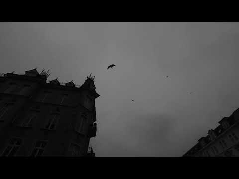 Wolfgang Müller  - Die Nacht Ist Vorbei [Offizielles Video]