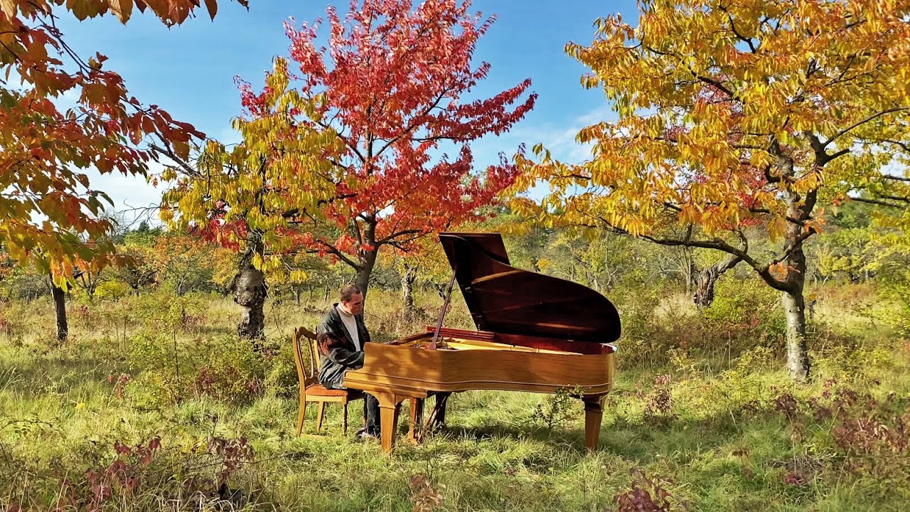 Martin Kohlstedt - LUN (live from an orchard)