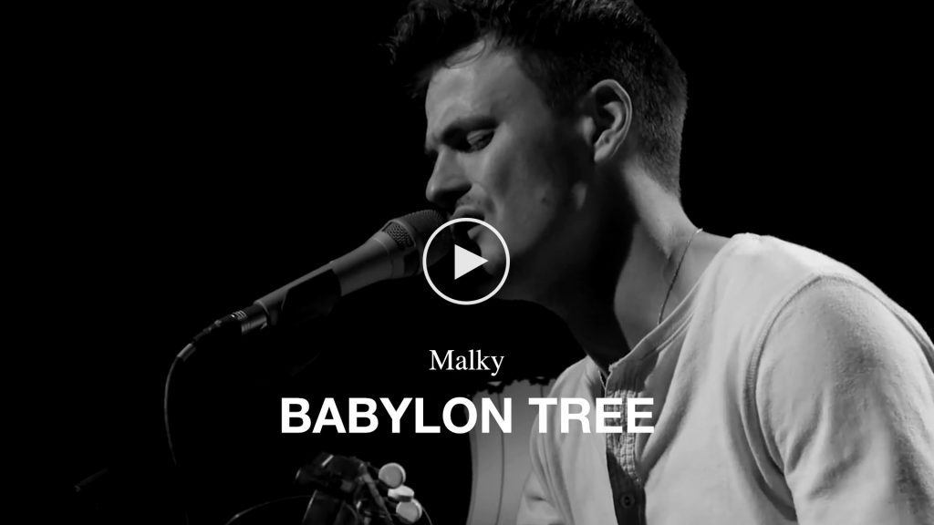 Malky – Babylon Tree