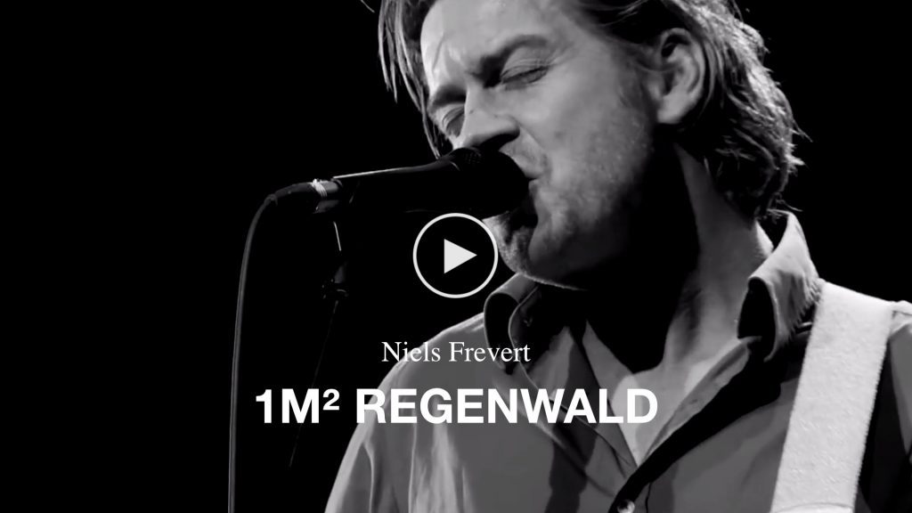 Niels Frevert – 1m² Regenwald