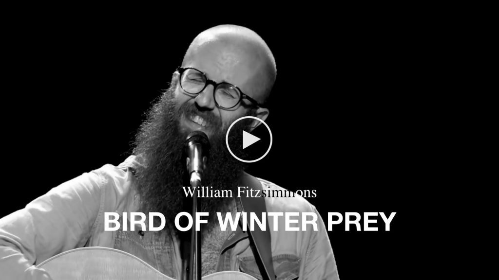 William Fitzsimmons – Bird Of Winter Prey