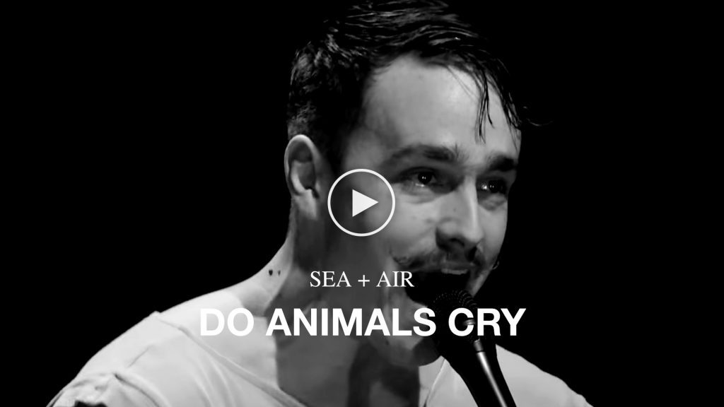 SEA + AIR – Do Animals Cry