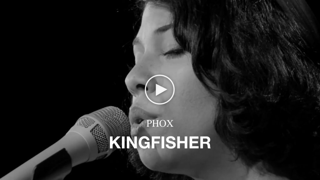PHOX – Kingfisher